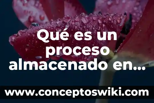 Mysql data entity que es 3 Qué es un proceso almacenado en MySQL