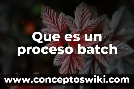 Qué es un mimeógrafo definición 6 Que es un proceso batch