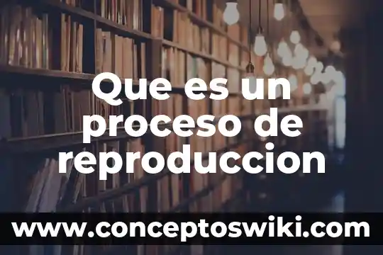 Que es la reproduccion electronica 5 Que es un proceso de reproduccion