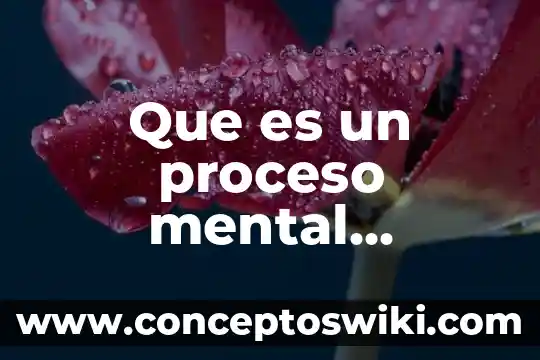 Qué es salud mental en psicología clínica 6 Que es un proceso mental complejo