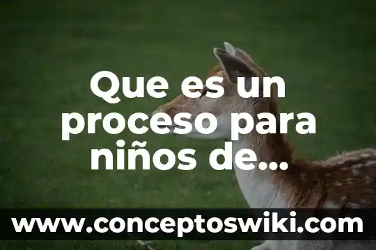 Que es el sistema nervioso humano para niños 7 Que es un proceso para niños de primaria