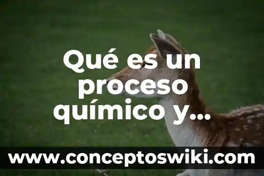 Qué es un químico carcinógeno 7 Qué es un proceso químico y cómo se representa