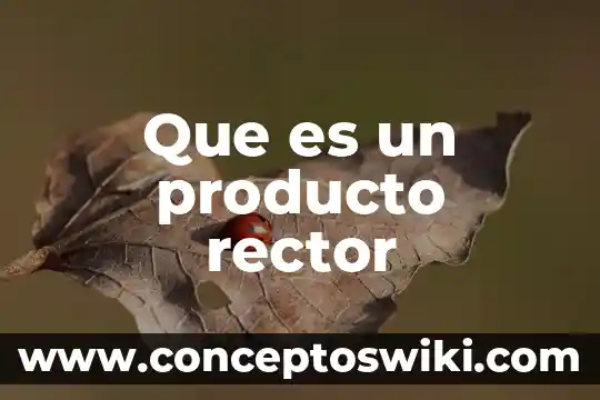 Concentrado de informaci贸n que es 4 Que es un producto rector
