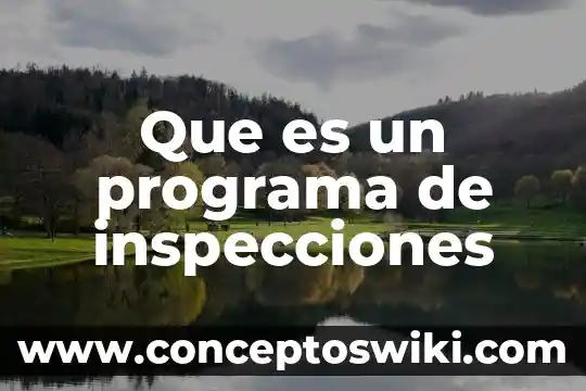 Que es el programa aspel 8 Que es un programa de inspecciones
