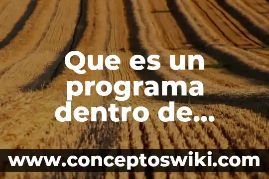 Que es el resultado dentro de una investigacion de mercados 4 Que es un programa dentro de planeacion