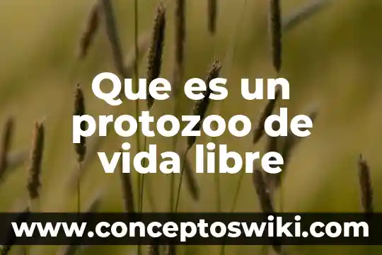 Por que es importante la vida animal 6 Que es un protozoo de vida libre