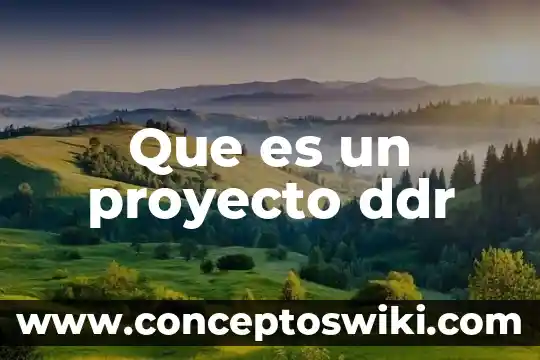 Que es un proyecto real 8 Que es un proyecto ddr