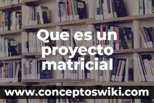 Or que es importante desarrollar un plan de proyecto 8 Que es un proyecto matricial