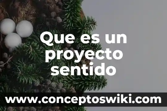 Qué es la temperatura significado explicito 8 Que es un proyecto sentido