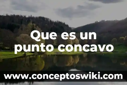 Punto de división de la molécula que es 8 Que es un punto concavo