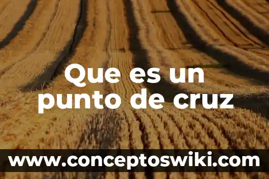 Punto de roció que es 7 Que es un punto de cruz