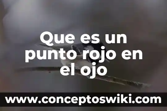 Qué es punto muerto superior de un motor 4 Que es un punto rojo en el ojo
