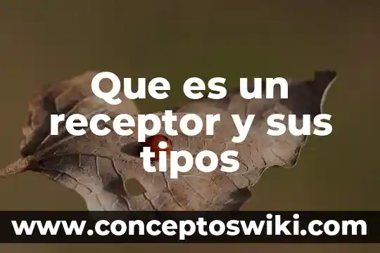 Que es la escenografia y sus tipos 3 Que es un receptor y sus tipos