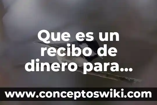 Que es machetear en mexico 8 Que es un recibo de dinero para mexico legalmente