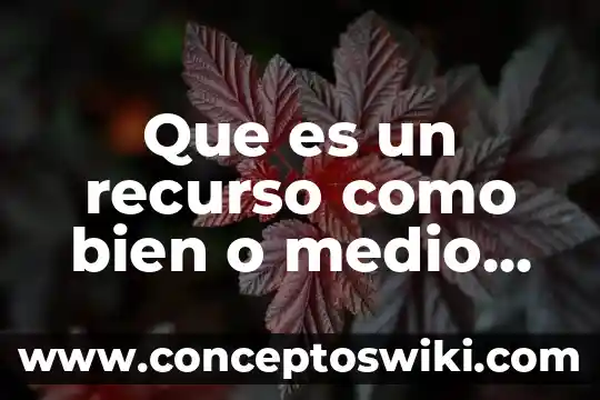 Que es el solvente recuperado medio y lento 5 Que es un recurso como bien o medio de subsistencia
