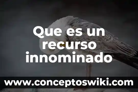 Que es un recurso secundario recojen las botellas 6 Que es un recurso innominado