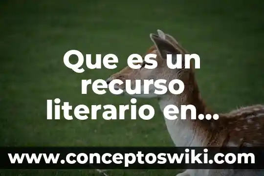 Que es un recurso secundario recojen las botellas 3 Que es un recurso literario en refranes