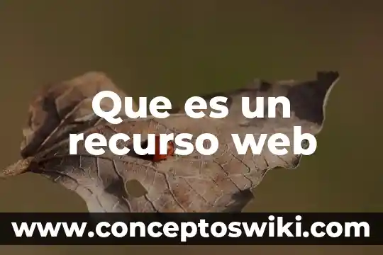 Que es contenido en una herramienta web 8 Que es un recurso web