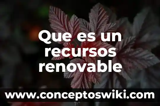 Que es recursos clave 4 Que es un recursos renovable