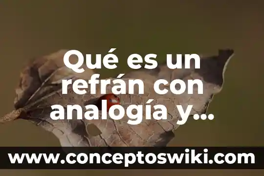 Significado del refrán el que es panzón aunque lo fajen 8 Qué es un refrán con analogía y ejemplos