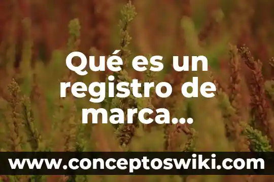 Raul belluccia que es una marca 8 Qué es un registro de marca nominativa