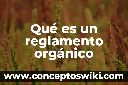 Helado organico que es 6 Qué es un reglamento orgánico