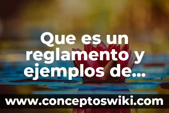 Que es funcionario público un mensaje para ellos 3 Que es un reglamento y ejemplos de ellos