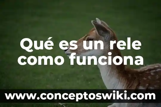 Problemas de aplicación que es y fórmulas 3 Qué es un rele como funciona