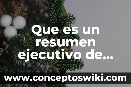 Que es el planteamiento del problema de una empresa 3 Que es un resumen ejecutivo de una empresa ejemplo