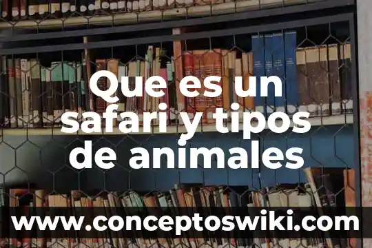Que es inteligencia emocional sus tipos de inteligencia 7 Que es un safari y tipos de animales