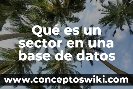 Qué es un sistema de base de datos en access 8 Qué es un sector en una base de datos