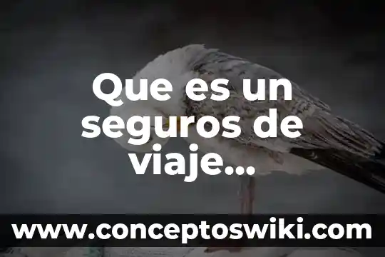 Seguros que es el riesgo 4 Que es un seguros de viaje internacional
