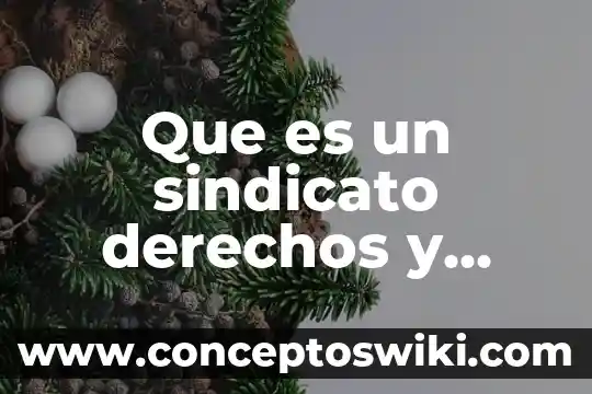 Que es el principio de universalidad en los derechos humanos 3 Que es un sindicato derechos y obligaciones