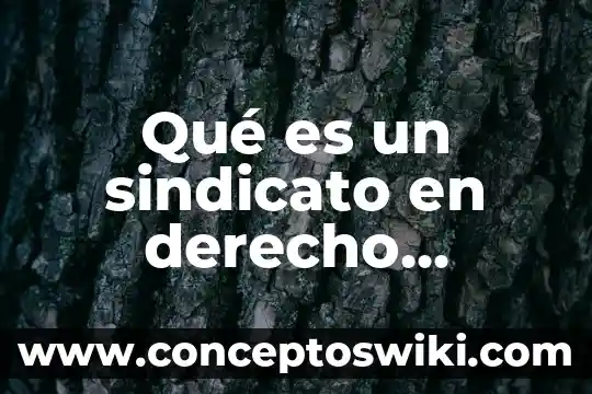 Que es algo no imputable en derecho laboral 4 Qué es un sindicato en derecho laboral