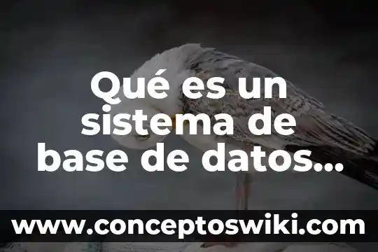 Qué es un sector en una base de datos 4 Qué es un sistema de base de datos en access