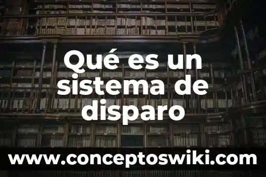 Lo que es el amor muerte disparo 4 Qué es un sistema de disparo