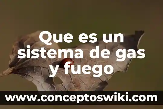 Para que es buena el agua con gas 6 Que es un sistema de gas y fuego