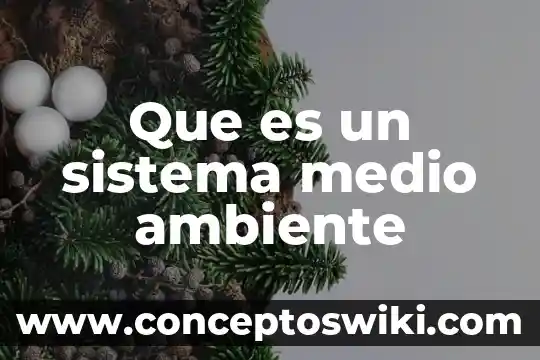 Que es cacique significado diccionario 6 Que es un sistema medio ambiente