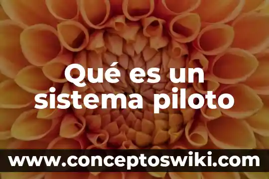 Que es realización de pruebas piloto 3 Qué es un sistema piloto