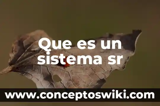 ¿Qué es el sistema nervioso central en psicología clínica? 7 Que es un sistema sr