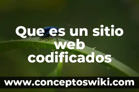 Bienvenido a nuestro sitio web 3 Que es un sitio web codificados