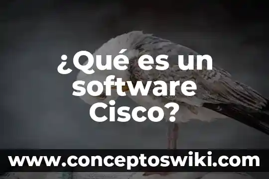 Que es software diseño de presentacion 3 ¿Qué es un software Cisco?