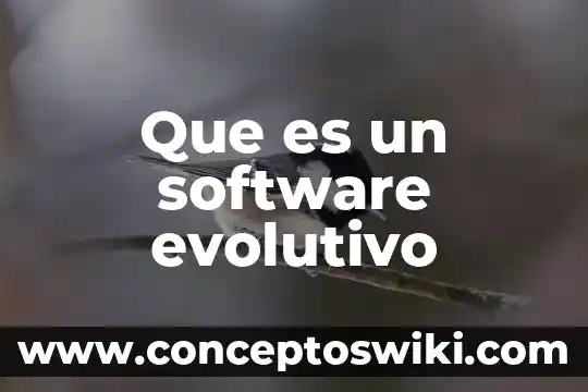 Que es inherente en igeneria de software 8 Que es un software evolutivo