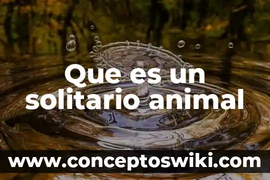 Qué es citocinesis animal 5 Que es un solitario animal