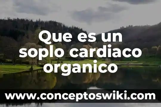 Helado organico que es 3 Que es un soplo cardiaco organico