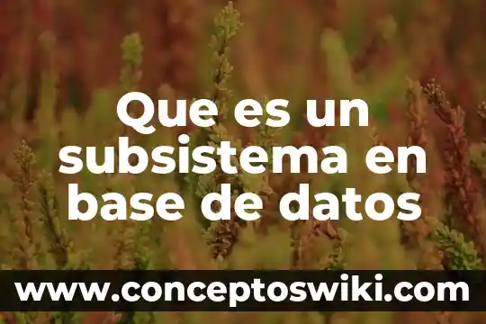 Qué es un sector en una base de datos 5 Que es un subsistema en base de datos