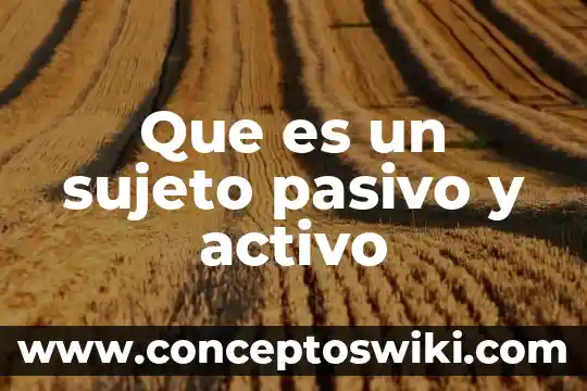 Que es autor o sujeto lirico 3 Que es un sujeto pasivo y activo