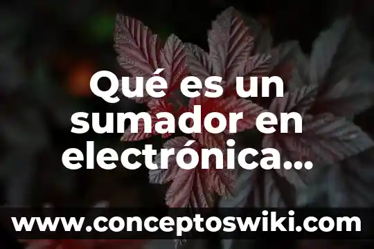 Qué es un accesorio de ciudadanía digital 4 Qué es un sumador en electrónica digital