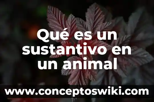 Que es sustantivo ejemplos en oraciones 3 Qué es un sustantivo en un animal