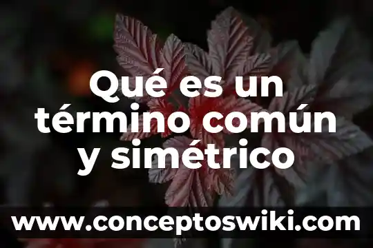 Termino resolutorio que es 8 Qué es un término común y simétrico